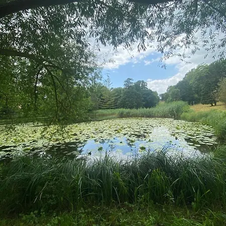 Langensteiner Idyll شقة Langenstein