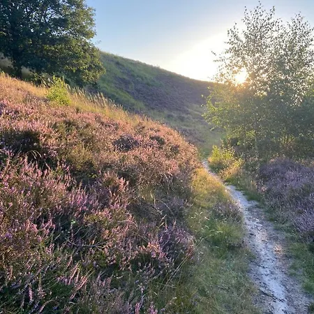 Langensteiner Idyll *