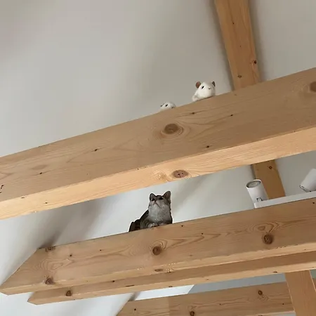 Langensteiner Idyll شقة *