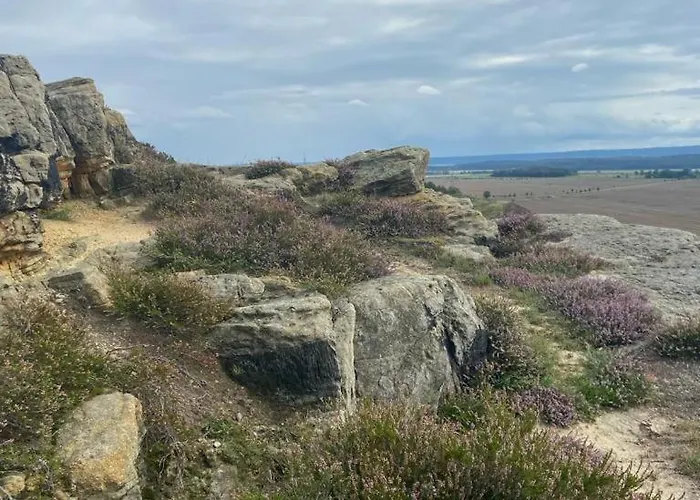 Langensteiner Idyll Apartamento