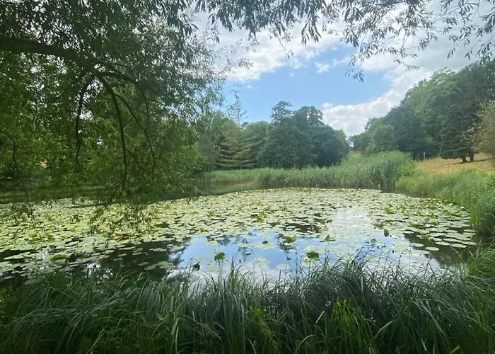 Langensteiner Idyll Apartamento Langenstein