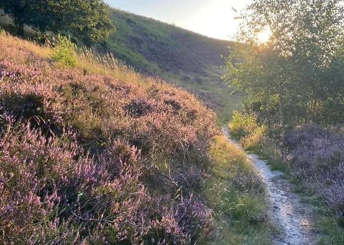 Langensteiner Idyll *