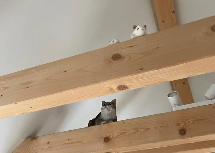 Langensteiner Idyll Apartamento *